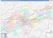 Kingsport-Bristol-Bristol Metro Area Wall Map Color Cast Style